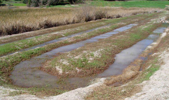 Sedimentation ponds on south side of Fountaingrove Lake