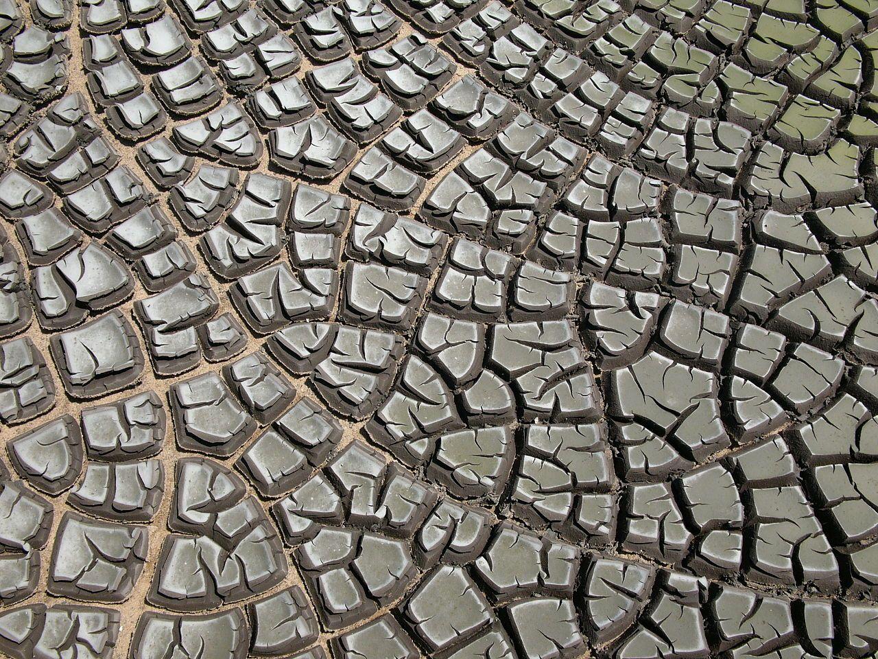 Sewage sludge after drying in a sludge drying bed