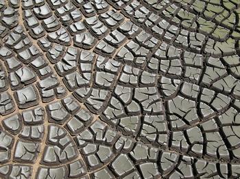 Sewage sludge after drying in a sludge drying bed