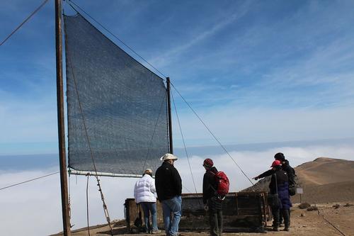 Fog collection in Atacama desert (Chile)