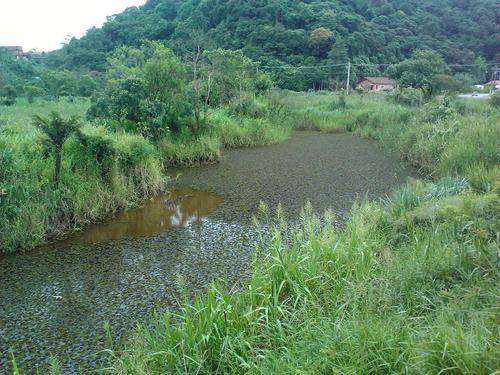 Natural Pond in Rio Grande da Serra (Brasil)