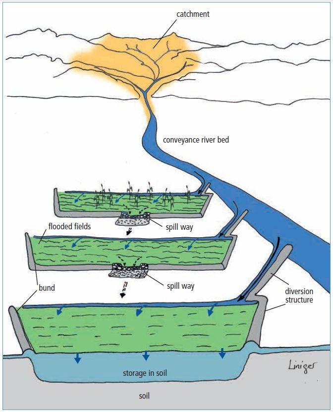 Spate irrigation system