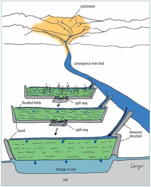 Spate irrigation system