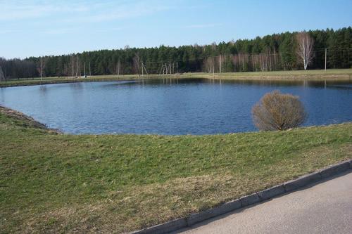 Pond in Birštonas (Lithuania)