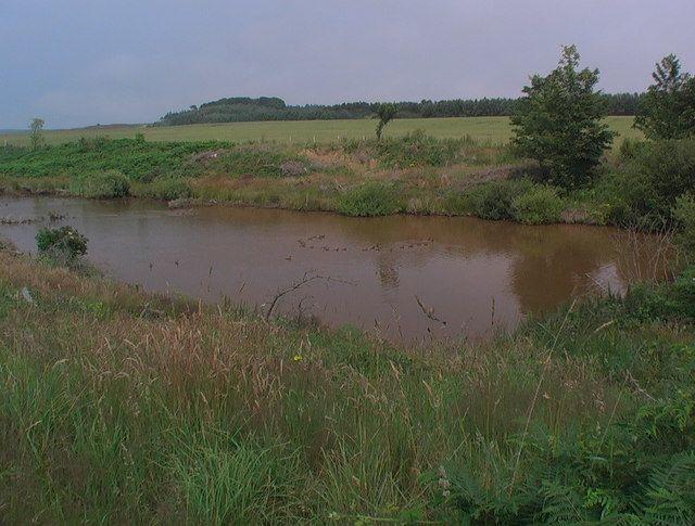 Pond in streambed