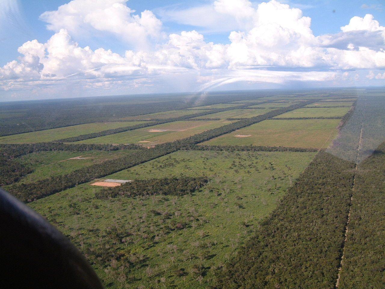 Advanced agriculture (Paraguay)