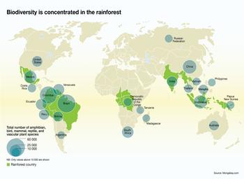 Biodiversity in Rainforests