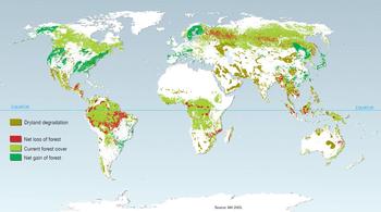 Changing Global Forest Cover