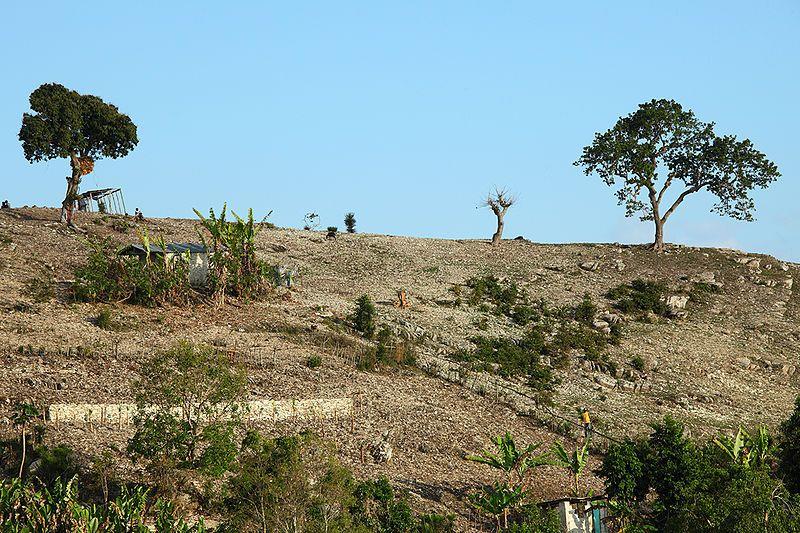 Deforested hillside on La Gonâve