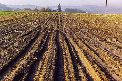 Erosion caused by soil compaction