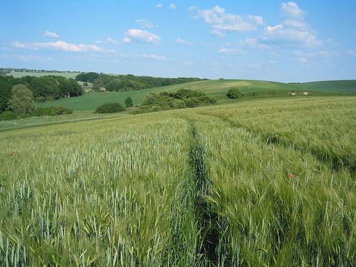 Agriculture in Schmiedeberg (Germany)