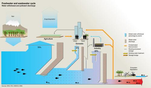 Freshwater and wastewater cycle - Water withdrawal and pollutant discharge