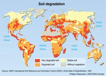 Global soil degradation