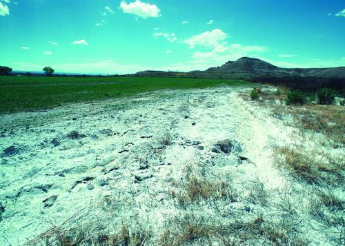 In the Colorado River Basin, salinity issues are a challenge for landowners and resource professionals