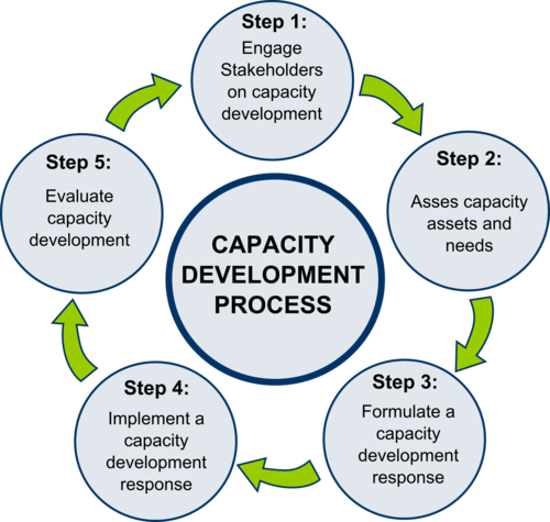 The UNAP capacity development process