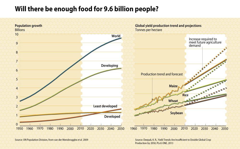 Will there be enough food for 9.6 billion people