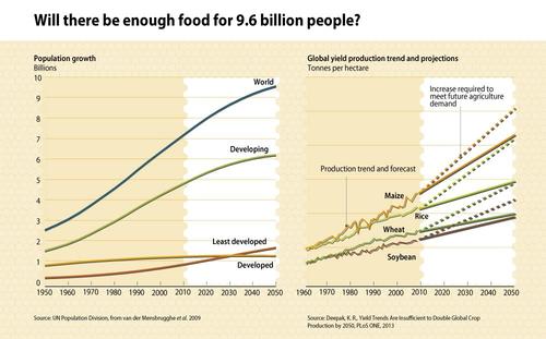 Will there be enough food for 9.6 billion people