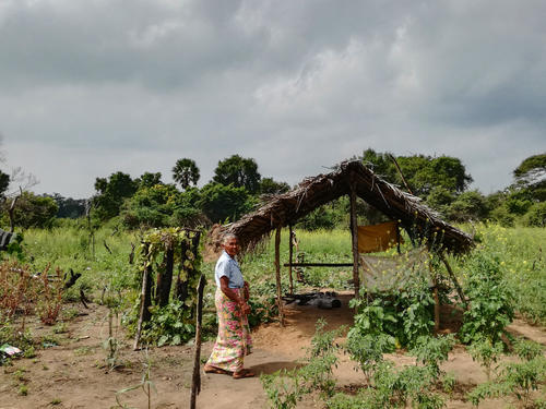 Farmer in Manewa village cultivating traditional Sri Lankan rain-fed land, so called Chena.