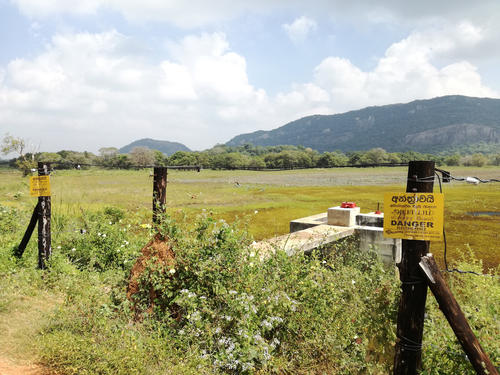 A recently established elephant fence surrounding the entire tank in Manewa. Old chena lands were included and restricted as part of a wildlife sanctuary with this new innovation