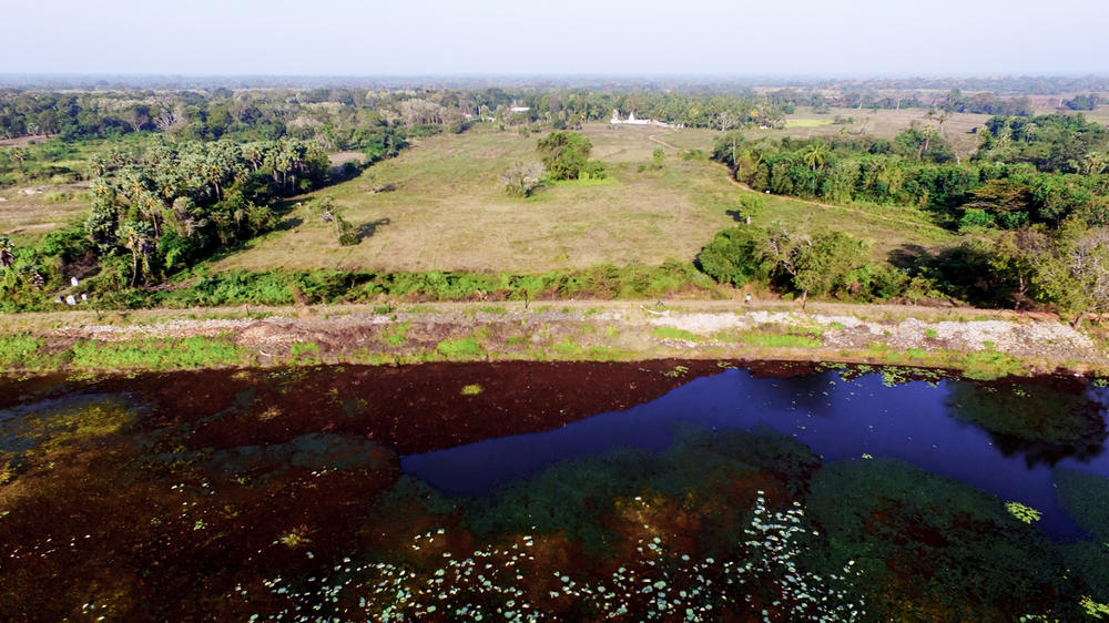 Irrigated landscape at Manewa village