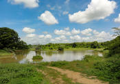 Surface runoff of the monsoonal rainfall is stored in wewas