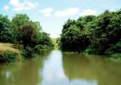 Wewas are connected by canals: Ancient Elahara canal