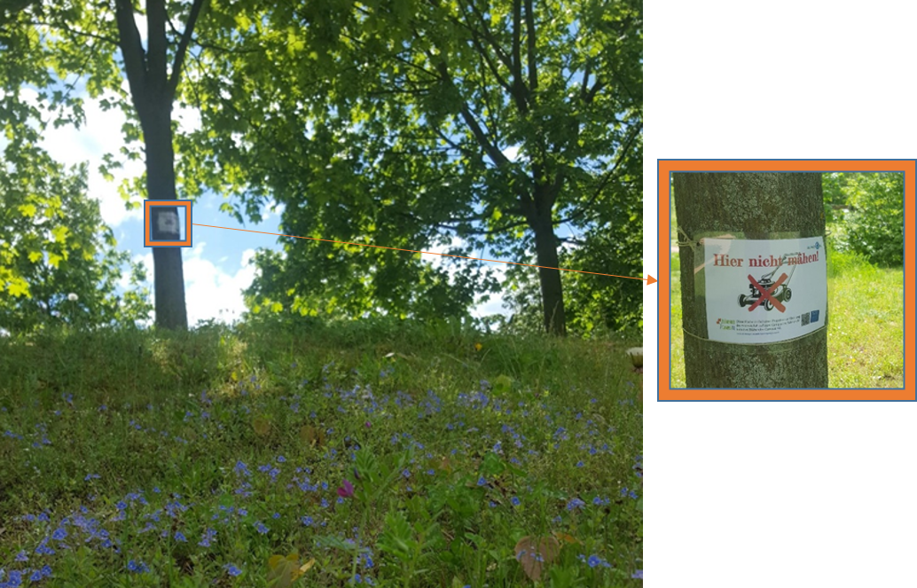 Nicht mähen! - Mit Schildern sollen häufige Mahden der Wiesen verhindert werden.