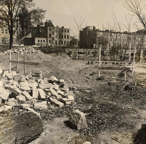 Eine Grünanlage wird angelegt, im Hintergrund die Häuser C und D (1952)