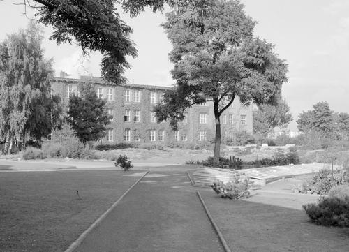 Grünanlage mit Blick auf Haus B (1955)