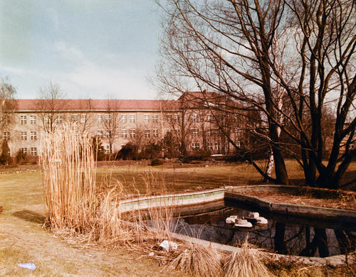 Die Grünanlage mit Teich, im Hintergrund Haus B (ca. 1975)