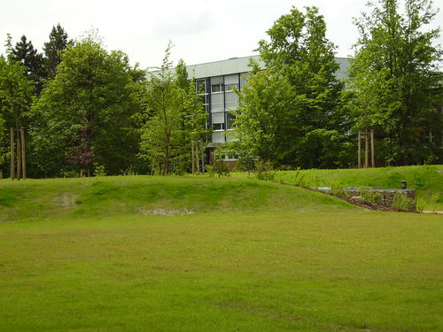 Die neugeschaffenen Grünflächen. Im Hintergrund die Bibliothek, Haus O,, 2006