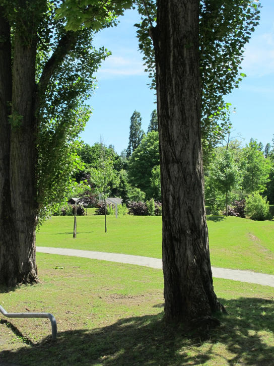 Blick auf den ehemaligen Sportplatz 2013