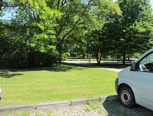 Blick vom Parkplatz zwischen Haus S und U auf die neue Grünfläche 2013