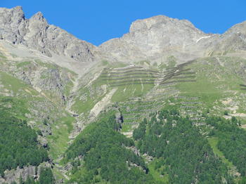 Lawinenverbauungen bei Pontresina