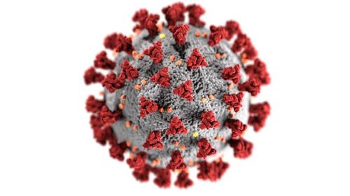 Coronavirus Morphology © CDC/ Alissa Eckert, MS; Dan Higgins, MAMS