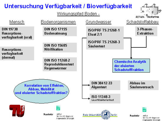 Bioverf&uuml;gbarkeit