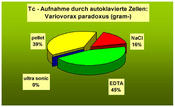 mikrobilogie_Tort_2