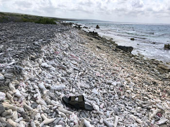 Storm deposits of broken Acropora corals at the southern coast of Bonaire