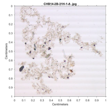 Mikroskopische Aufname von Holzkohlepartikeln aus dem Chew Bahir Sedimentkern.
