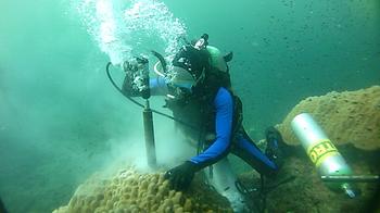 Jens Zinke drilling a massive 300 year old coral.