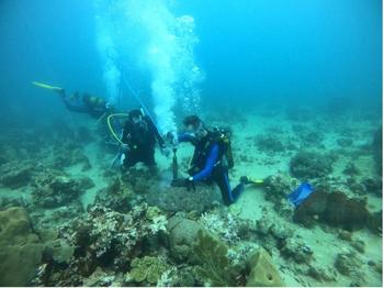 The Freie Universität Berlin team (Dr. Georg Heiß, Dr. Juan Pablo D’Olivo Cordero and Dr. Moshira Hassan) collecting a coral core in Martinique
