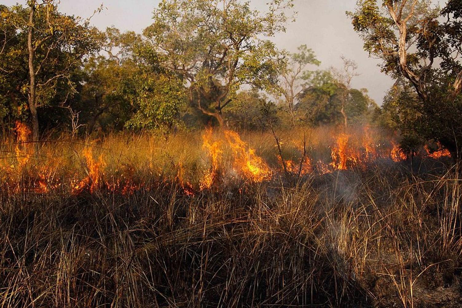 african-savannah-fire-c-wikimedia