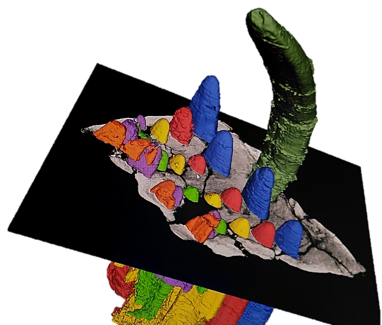 07_segmentiertes 3D Modell