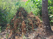 Indien_062