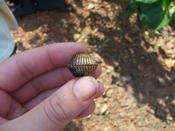 Indien_069