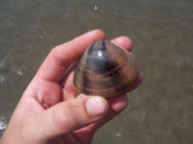 Indien_077