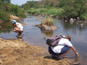 Indien_220
