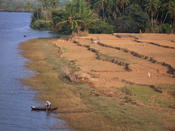 Indien_238