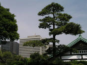 P1010473