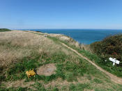 Octeville Kimmeridge